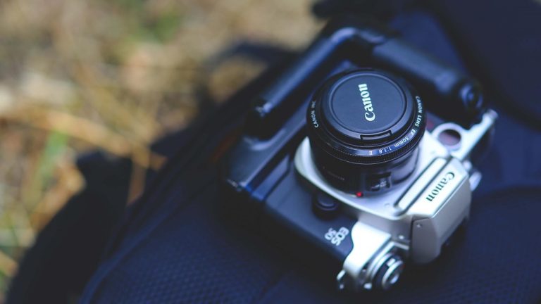 Bokeh-Effekt: Lichtstarke Objektive Der Bokeh-Effekt gelingt mit lichtstarken Objektiven am besten