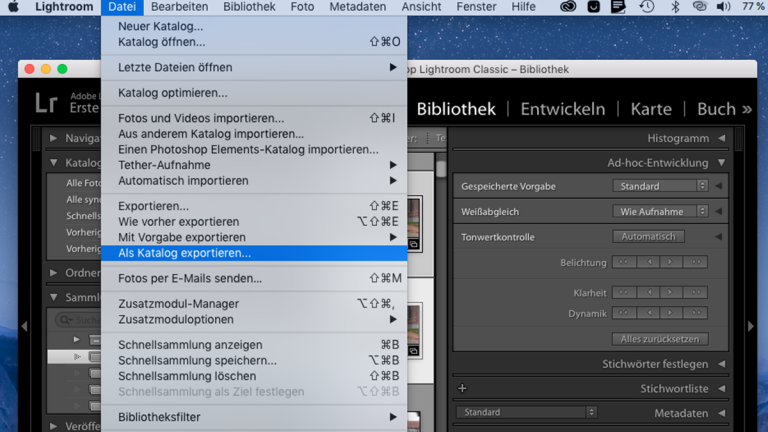 Lightroom-Katalog: Fotos exportieren