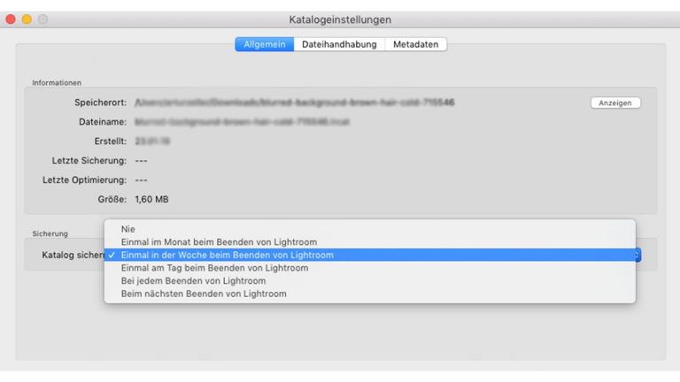 Lightroom-Katalog: Einstellungen anpassen