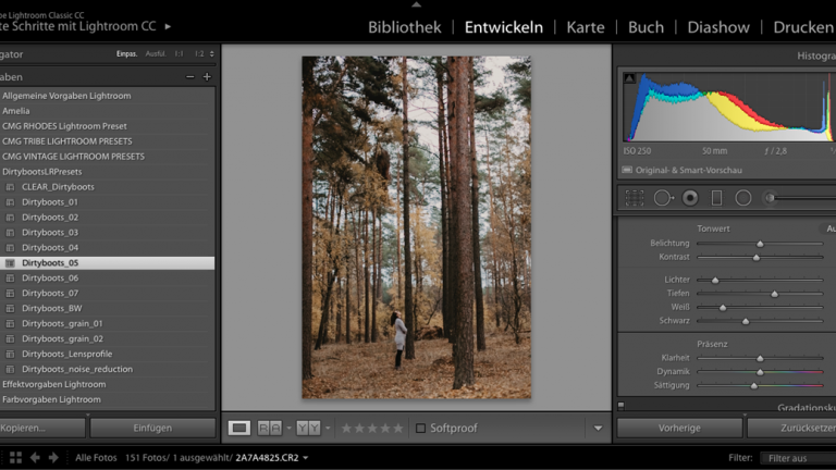 Lightroom Preset anwenden