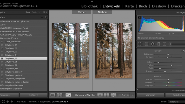 Lightroom: Vorher-Nachher-Vergleich