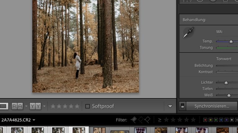 Lightroom: Einstellungen auf mehrere Bilder anwenden