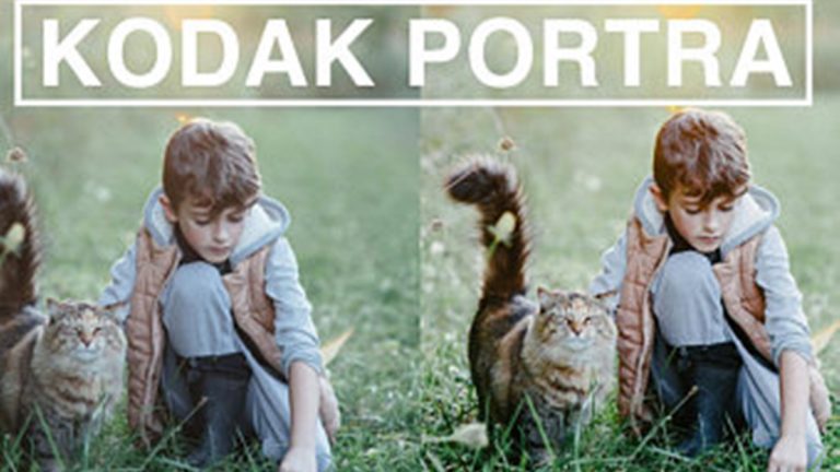 Lightroom Preset: Kodak Portra Presets