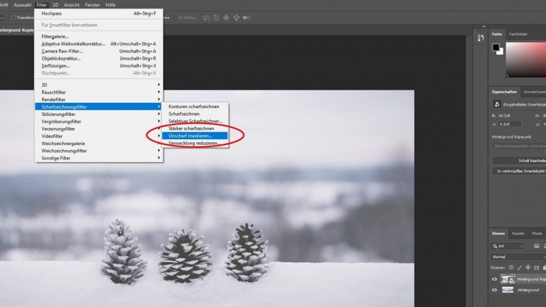 Unscharf maskieren mit Photoshop