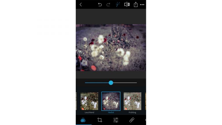 Photoshop Express: Looks anwenden