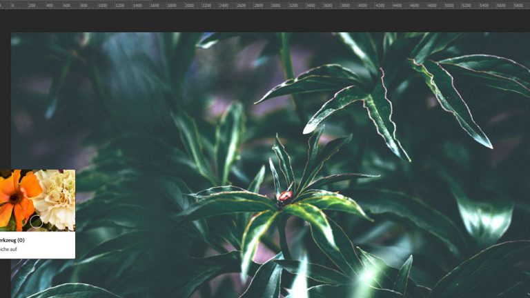 Bild heller machen: Abwedler bei Photoshop Bild bei Photoshop mit Abwedler heller machen