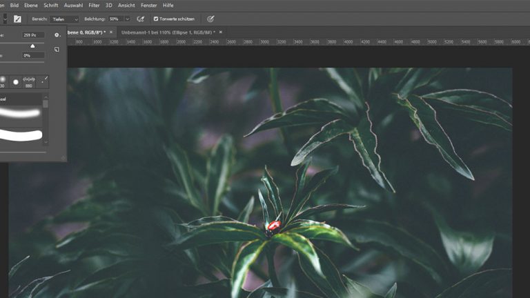Bild heller machen: Abwedler individuell erstellen Abwedler in Photoshop individuell einstellen