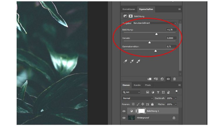 Belichtungseinstellungen bei Photoshop anpassen