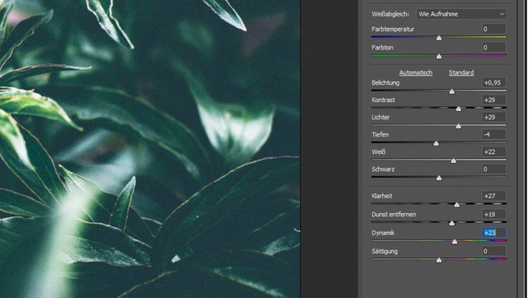 Camera Raw Modus bei Photoshop
