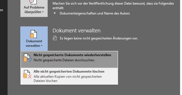 Word-Fenster Informationen, Dokument verwalten, Kontextmenü Word-Fenster Informationen, Dokument verwalten, Kontextmenü