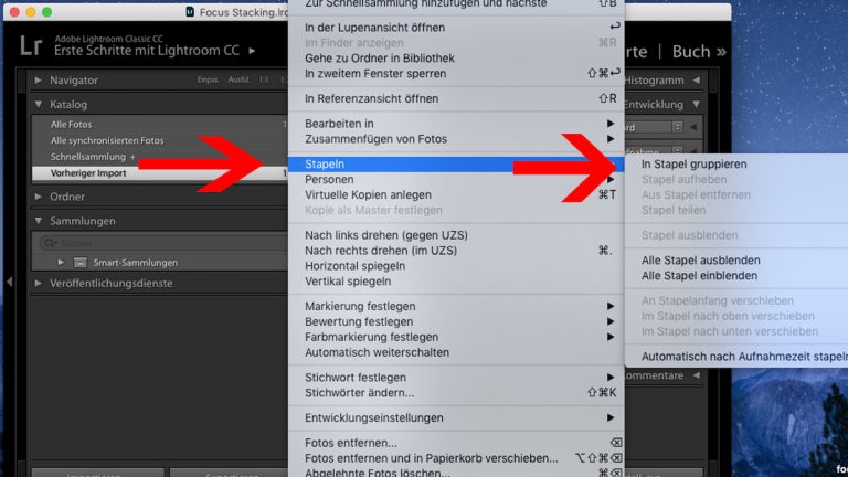 Focus Stacking: Aufnahmen in Lightroom stapeln Focus Stacking: Einzelaufnahmen in Lightroom stapeln