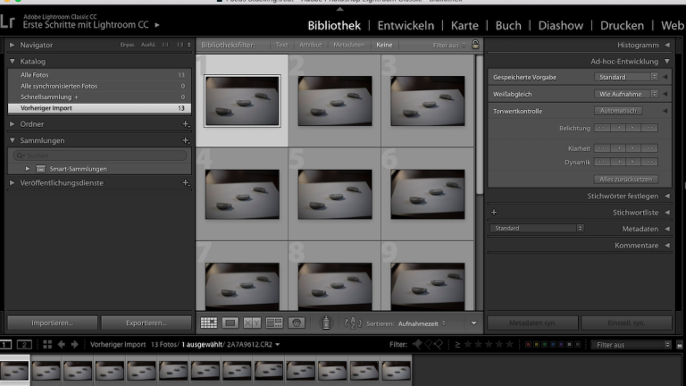 Focus Stacking: Lightroom Einzelaufnahmen Focus Stacking: Einzelaufnahmen in Lightroom