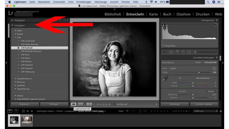 Lightroom: Schwarz-Weiß-Preset verwenden