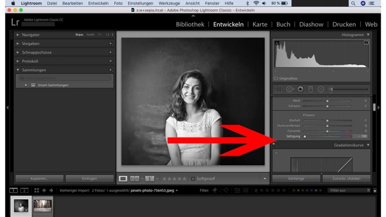Lightroom: Sättigung reduzieren für Schwarz-Weiß-Foto