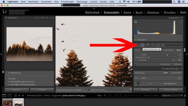 Lightroom-Workflow: Bereichsreparatur-Werkzeug