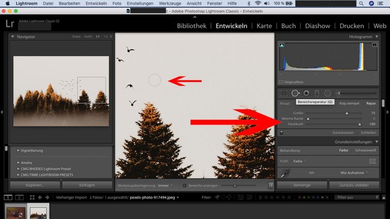 Lightroom-Workflow: Bereichsreparatur durchführen