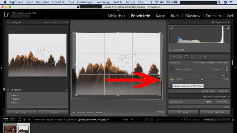 Lightroom-Workflow: Winkel nutzen