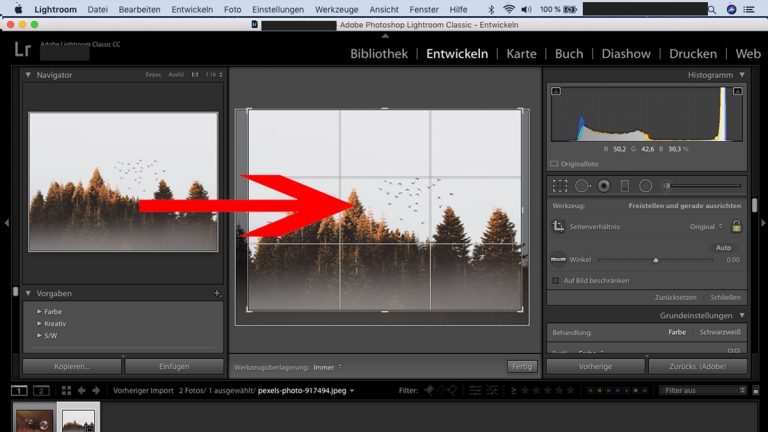 Lightroom-Workflow: Zuschnitt per Hand