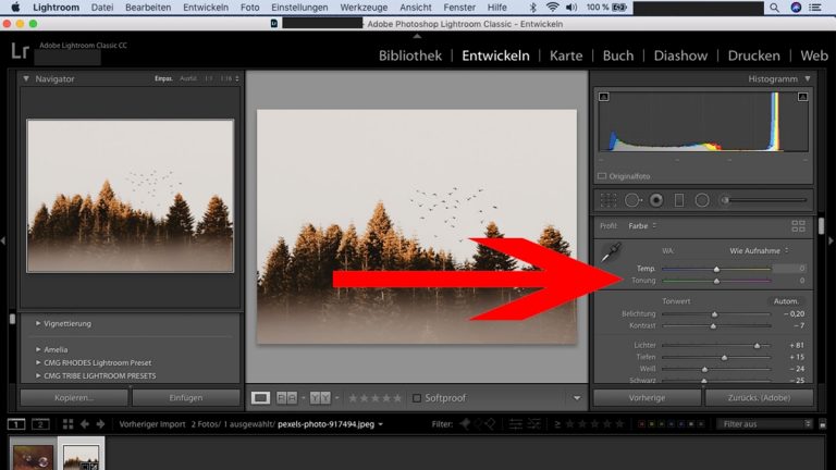 Lightroom-Workflow: Farbtemperatur-Regler