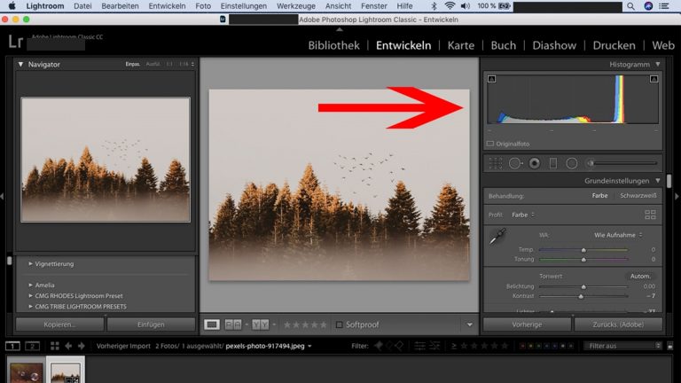 Lightroom-Workflow: Histogramm für Belichtung