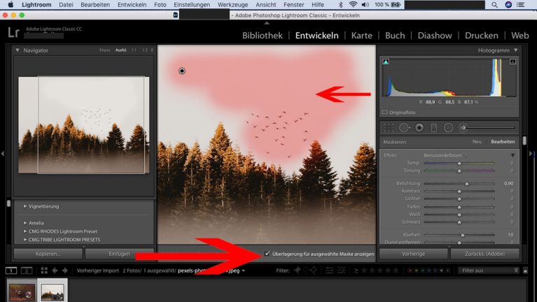 Lightroom-Workflow: Korrekturbereich Отзывы lassen