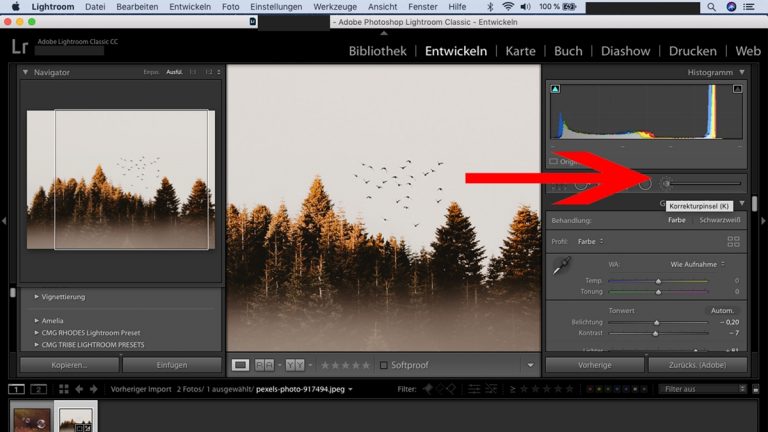 Lightroom-Workflow: Korrekturpinsel