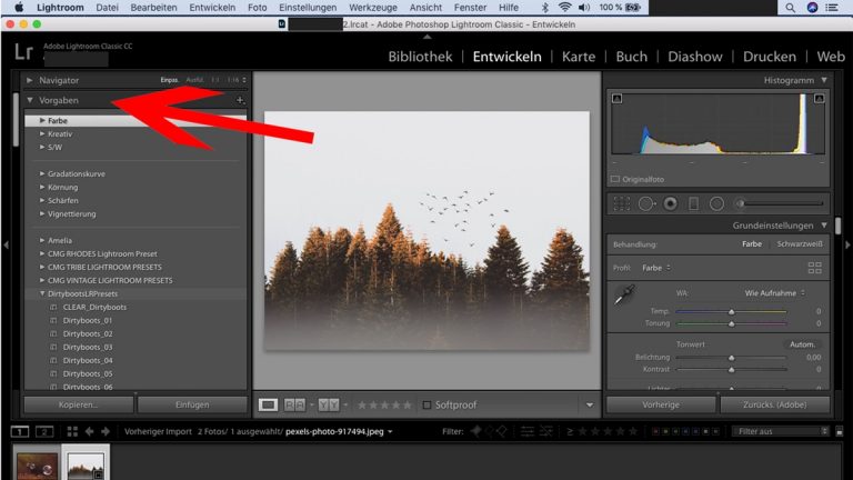 Lightroom-Workflow: Preset auswählen