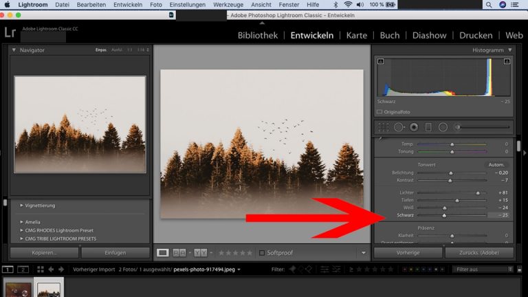 Lightroom-Workflow: Schwarz-Regler einstellen