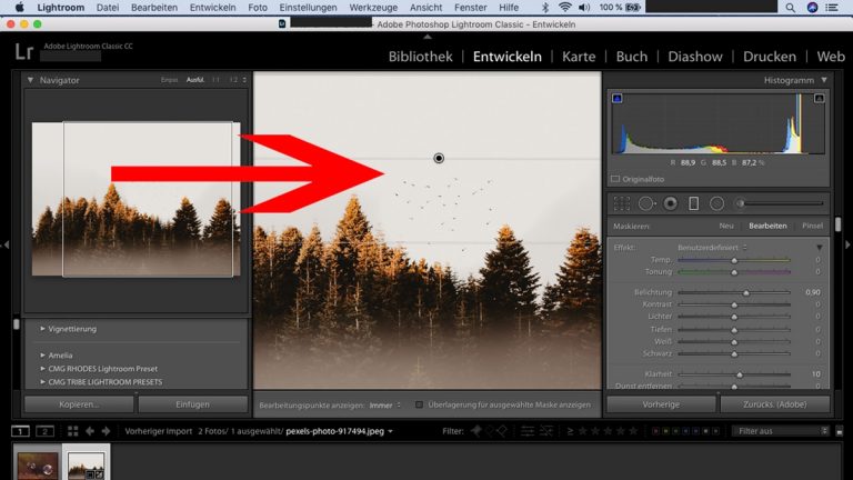 Lightroom-Workflow: Verlaufsfilter horizontal auf Bild legen