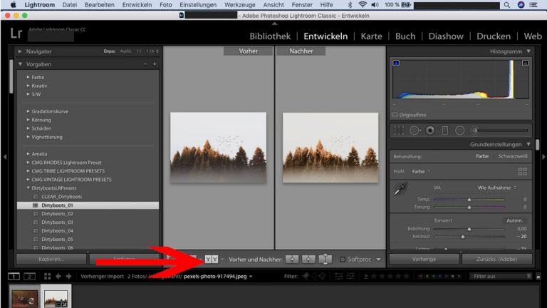 Lightroom-Workflow: Vorher-Nachher-Vergleich