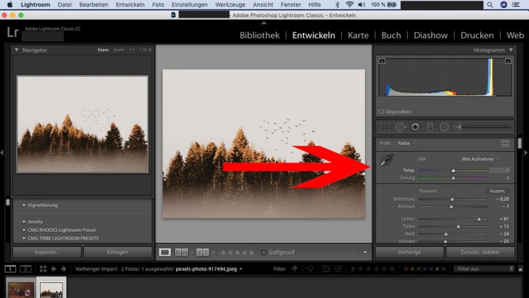 Lightroom-Workflow: Weißabgleich