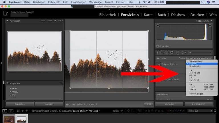 Lightroom-Workflow: Größenverhältnis auswählen