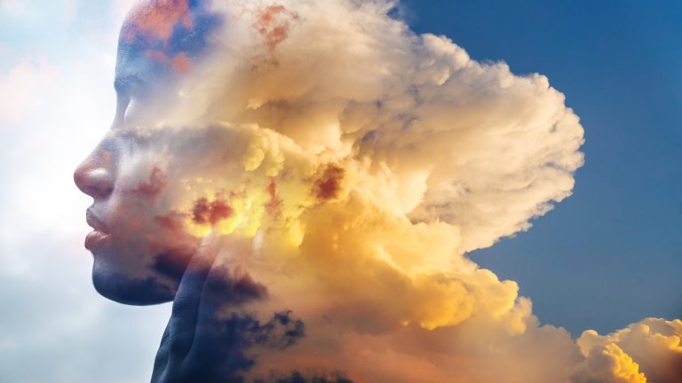 Lightroom oder Photoshop: Der Vergleich