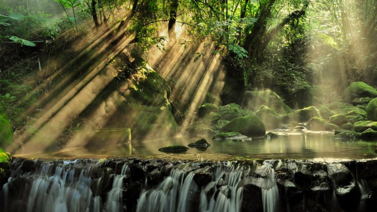 Kontrastreiches Bild von Sonnenstrahlen im Wald mit kleinem Wasserfall