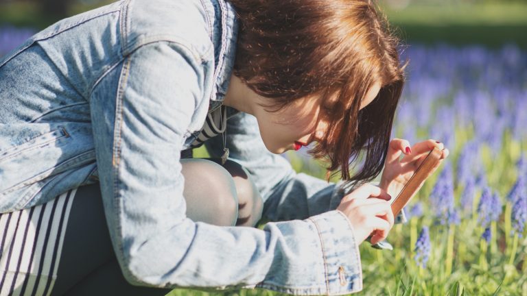Junge Frau fotografiert Blumen mit dem Smartphone Junge Frau fotografiert Blumen mit dem Smartphone