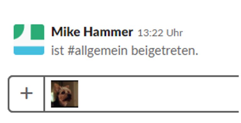 Slack-Fenster Chat mit eigenem Smiley