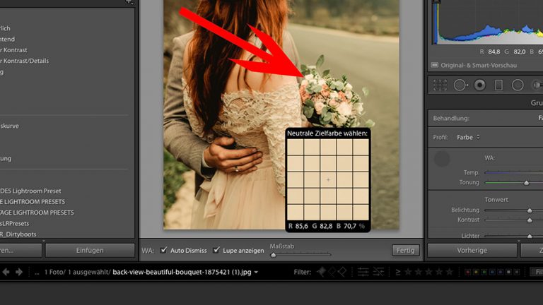 Weißabgleich: Was ist das?