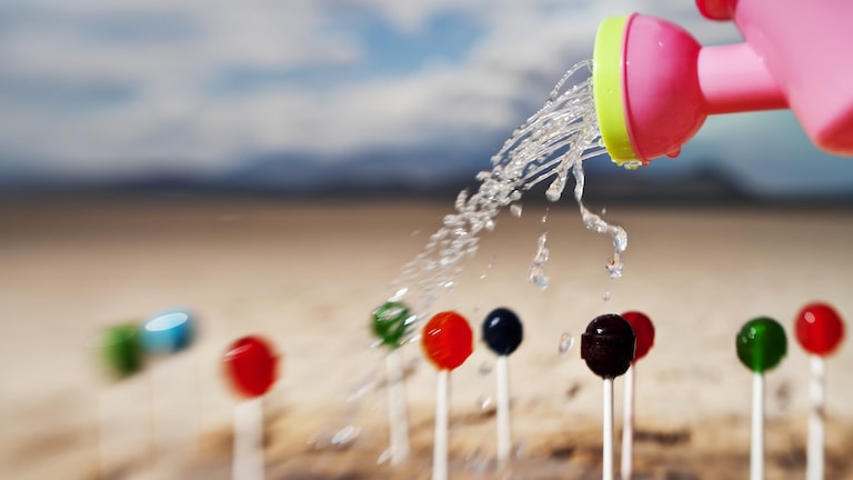 Lutscher im Sand mit Lensbaby-Objektiv aufgenommen