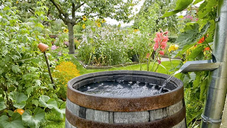 Dampfreiniger Kalk vorbeugen: Regenwasser oder destilliertes Wasser helfen