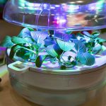 Smart Indoor Garden mit Pflanze