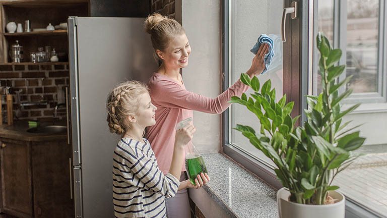 Fenstersauger Haushalt putzen