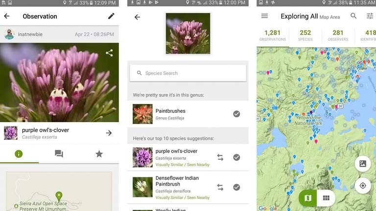 iNaturalist: Pflanzen per App bestimmen und mit Wissenschaftlern forschen