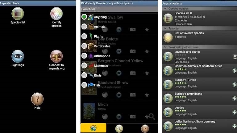 Pflanzen-und-Tiere-entdecken-App: Automatische Ergebnisse dank GPS