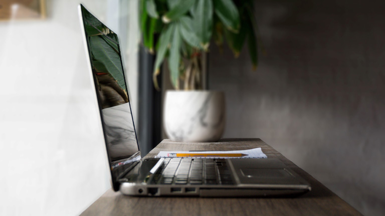 Windows-10-Bildschirm schwarz: Ursachen und Lösungen Schwarzer Bildschirm nach Neustart: Laptop auf Tisch mit Pflanze