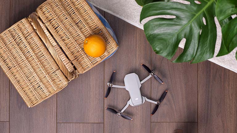 DJI Mini 2 Die DJI Mini 2 auf dem Boden neben einem Picknick-Korb.
