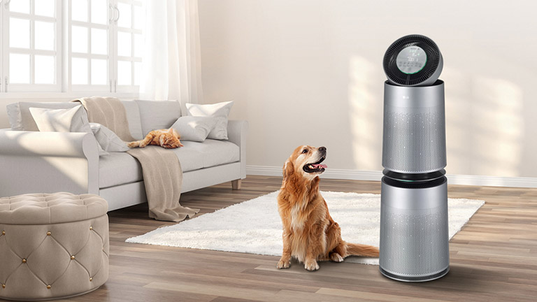 LG PuriCare 360 Der große Luftreiniger aus der PuriCare-Reihe von LG in einem Wohnraum mit zwei Tieren.