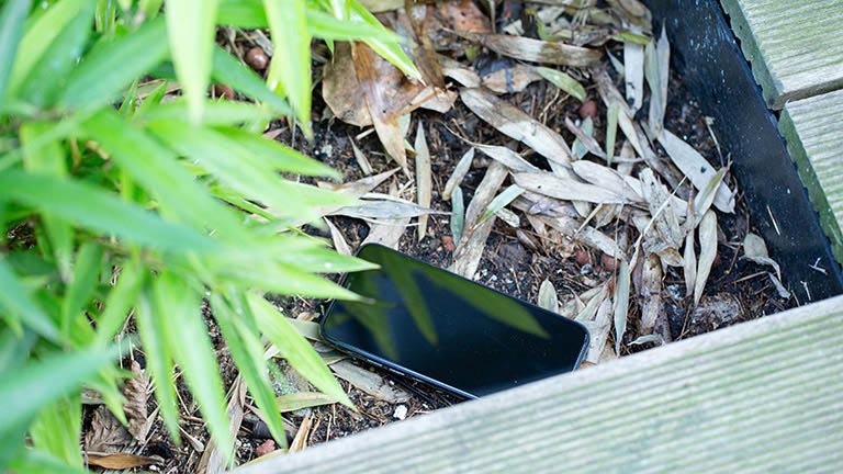 iPhone sicher löschen Ein iPhone 11 liegt in einem Blumenkübel aus Holz.