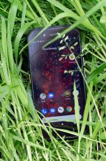 Das Outdoor-Smartphone Cat S42 liegt im nassen Gras.