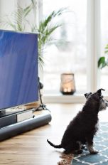 Eine Frau hockt mit einem Kind vor dem Sofa auf dem Boden, vor ihnen steht ein Fernseher mit einer Soundbar.