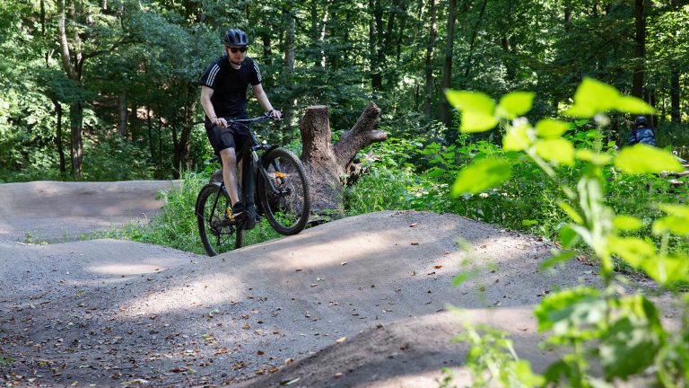 Eine Person fährt auf einem E-MTB über kleine Hügel auf einem Bike-Trail.